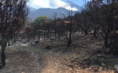 Fire, Then and Now