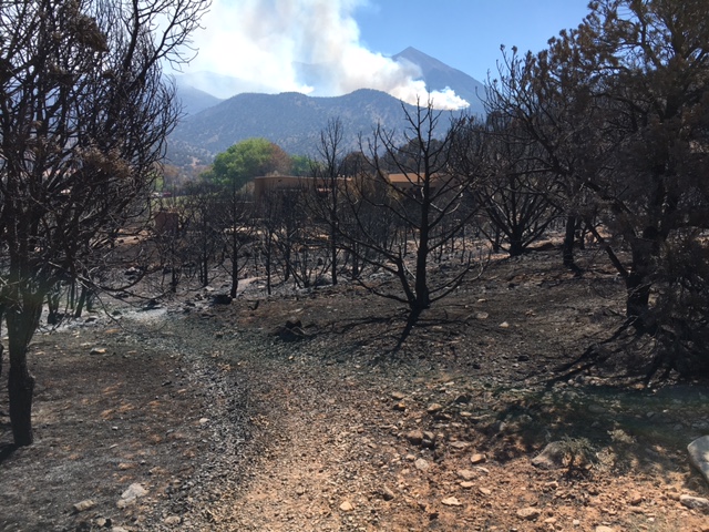 Pack Creek Fire